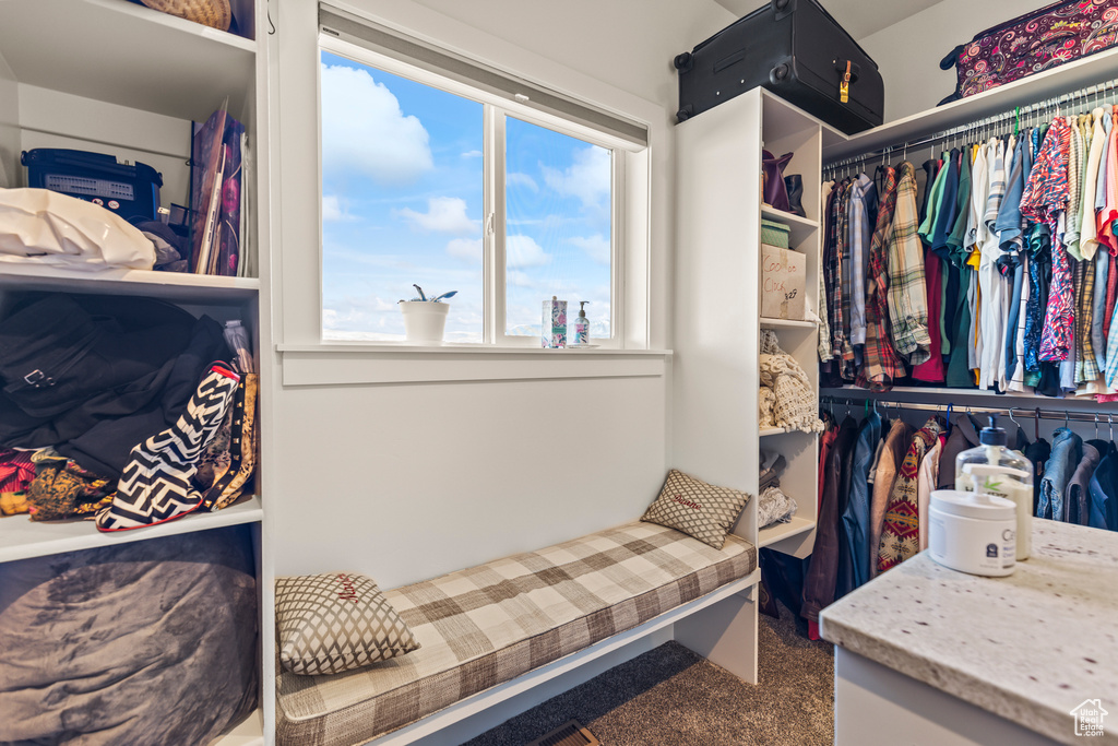 View of walk in closet