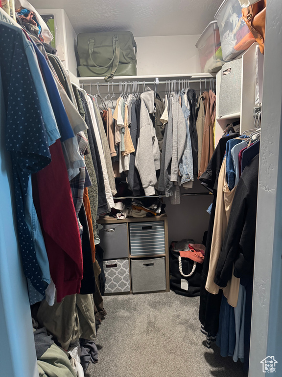 Walk in closet featuring carpet flooring
