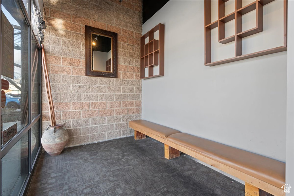 Mudroom with dark colored carpet