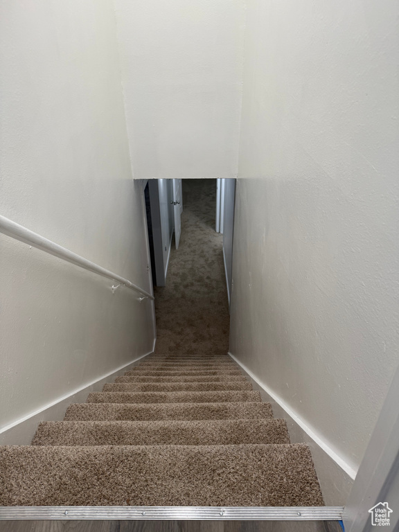 Staircase with carpet