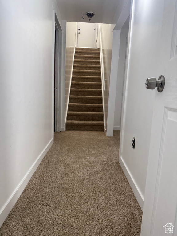 Stairway with carpet floors and baseboards