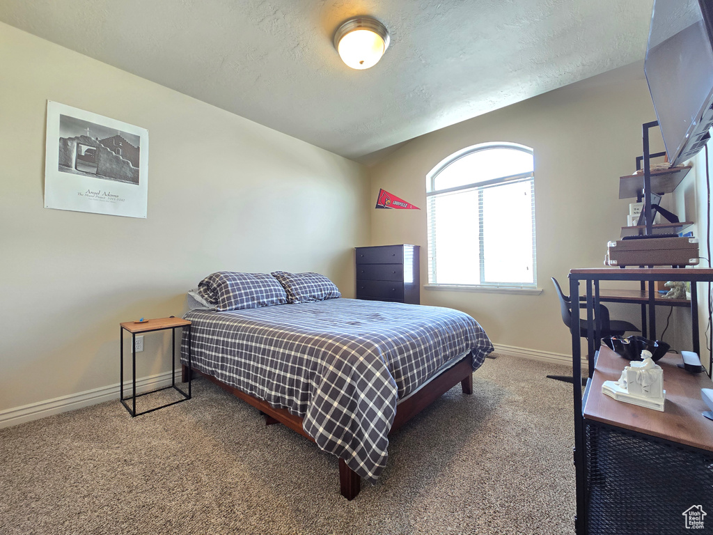 Carpeted bedroom with lofted ceiling, baseboards, and a textured ceiling