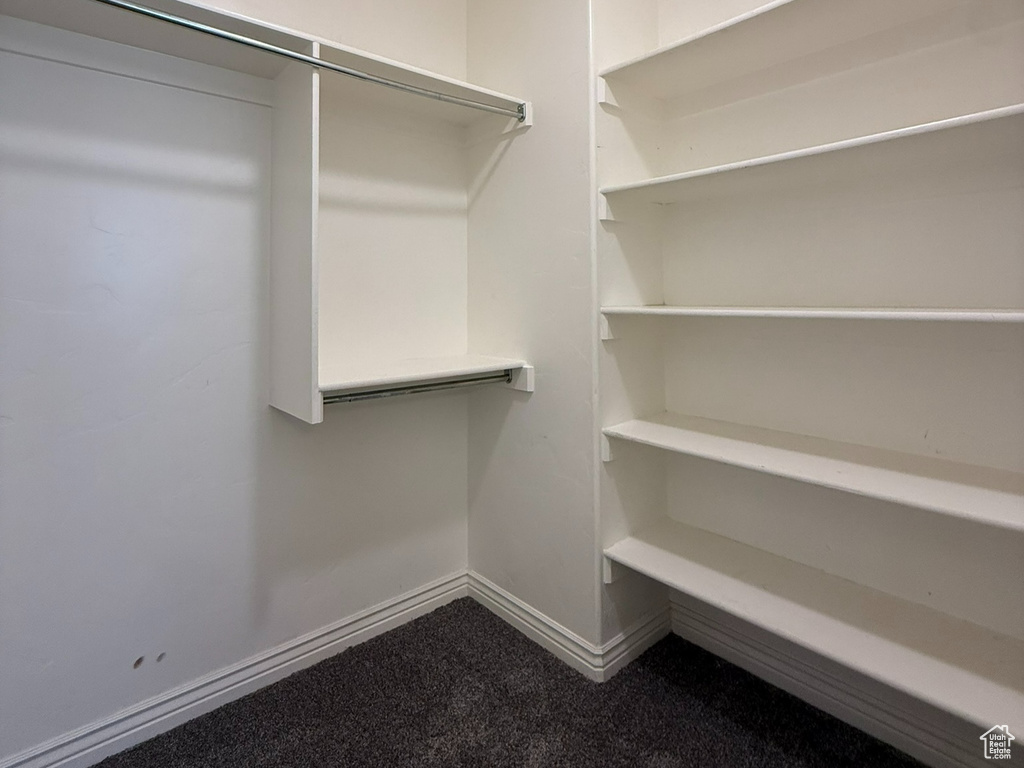 Spacious closet featuring dark carpet
