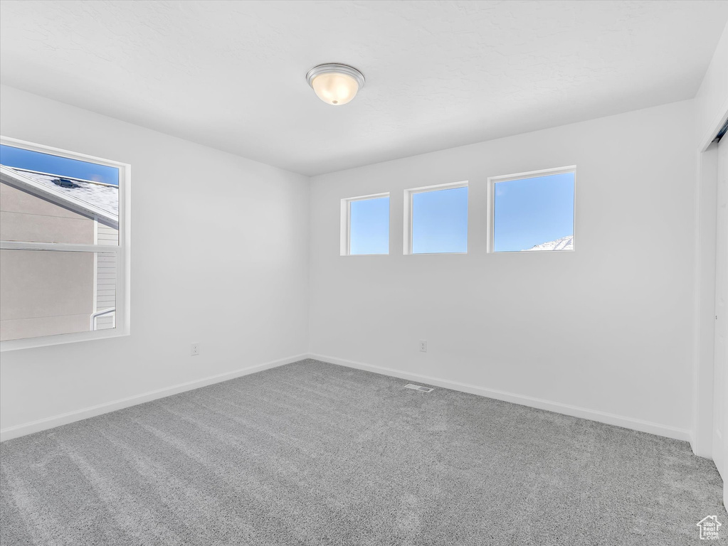 Carpeted empty room featuring baseboards and a healthy amount of sunlight