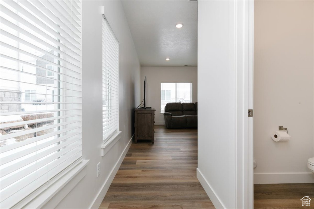 Hallway featuring dark hardwood / wood-style floors