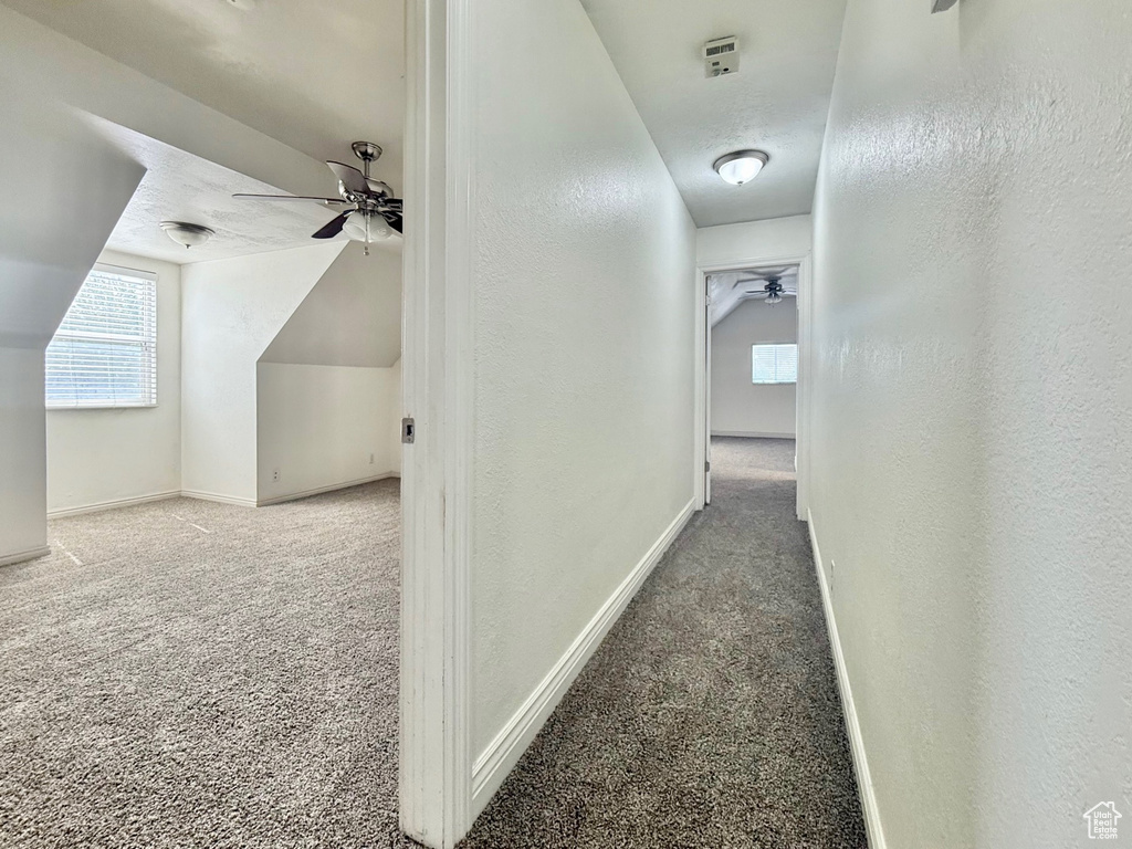 Hallway with carpet and a textured wall