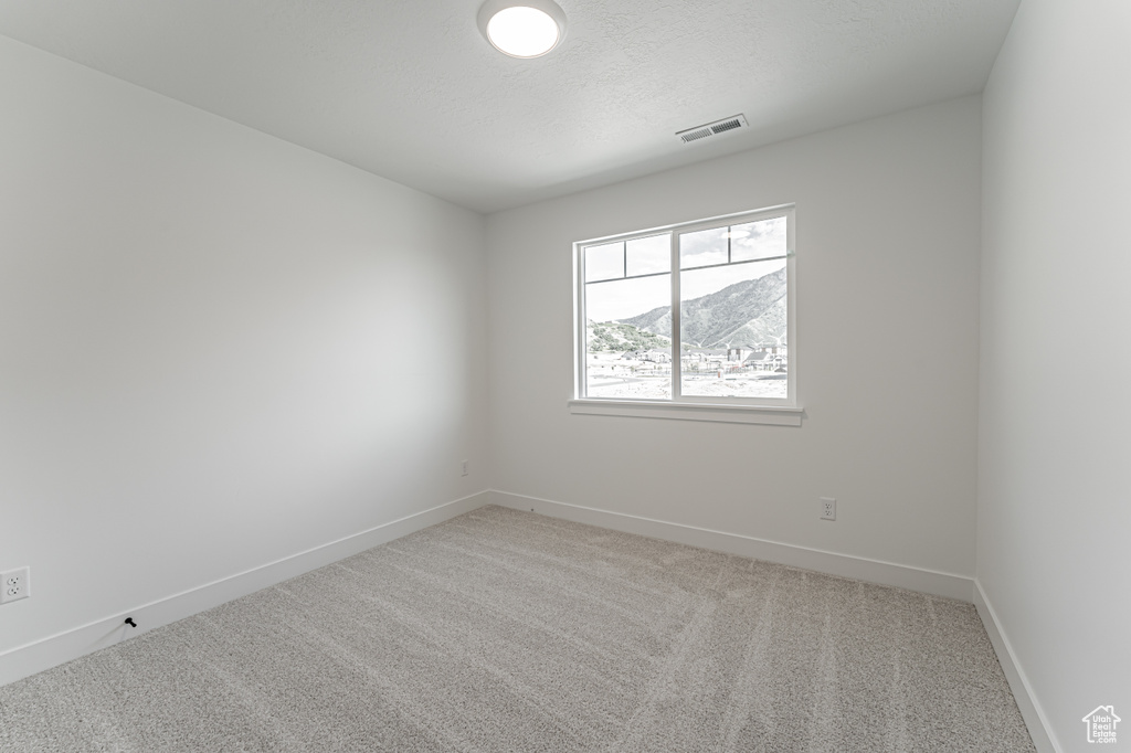 Empty room featuring light colored carpet, baseboards, a textured ceiling, and a mountain view