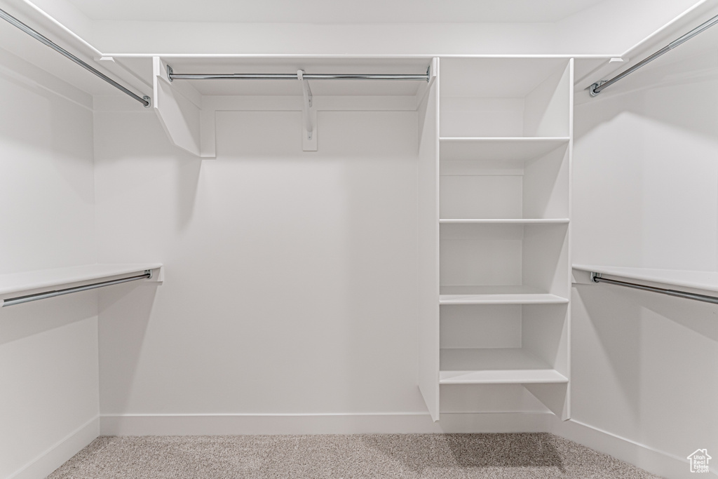 Spacious closet featuring carpet