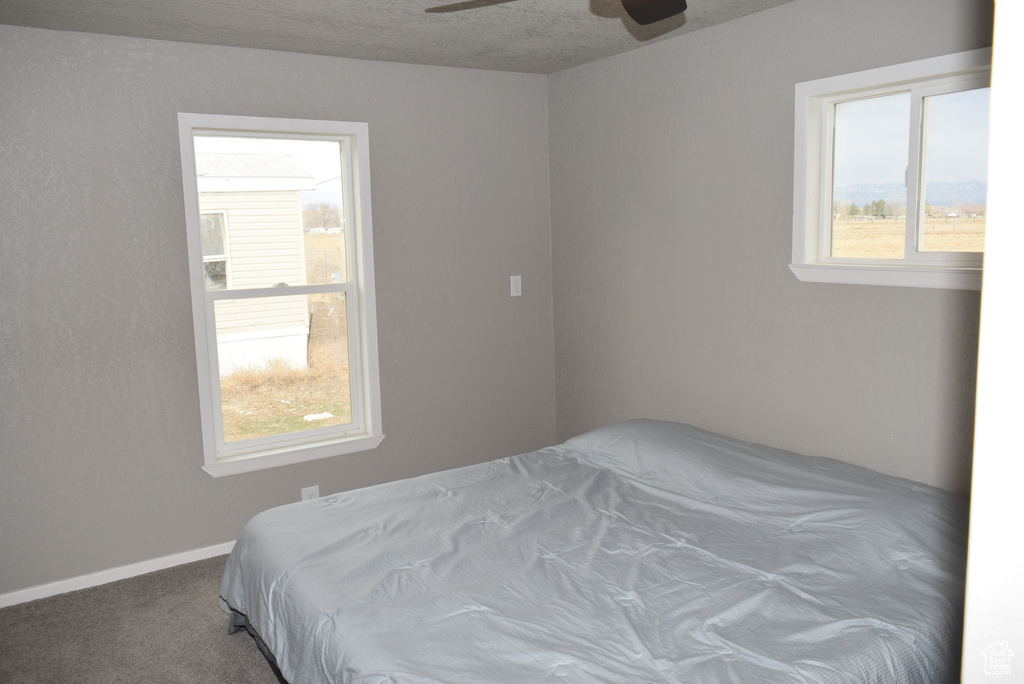 Carpeted bedroom featuring ceiling fan, multiple windows, and baseboards