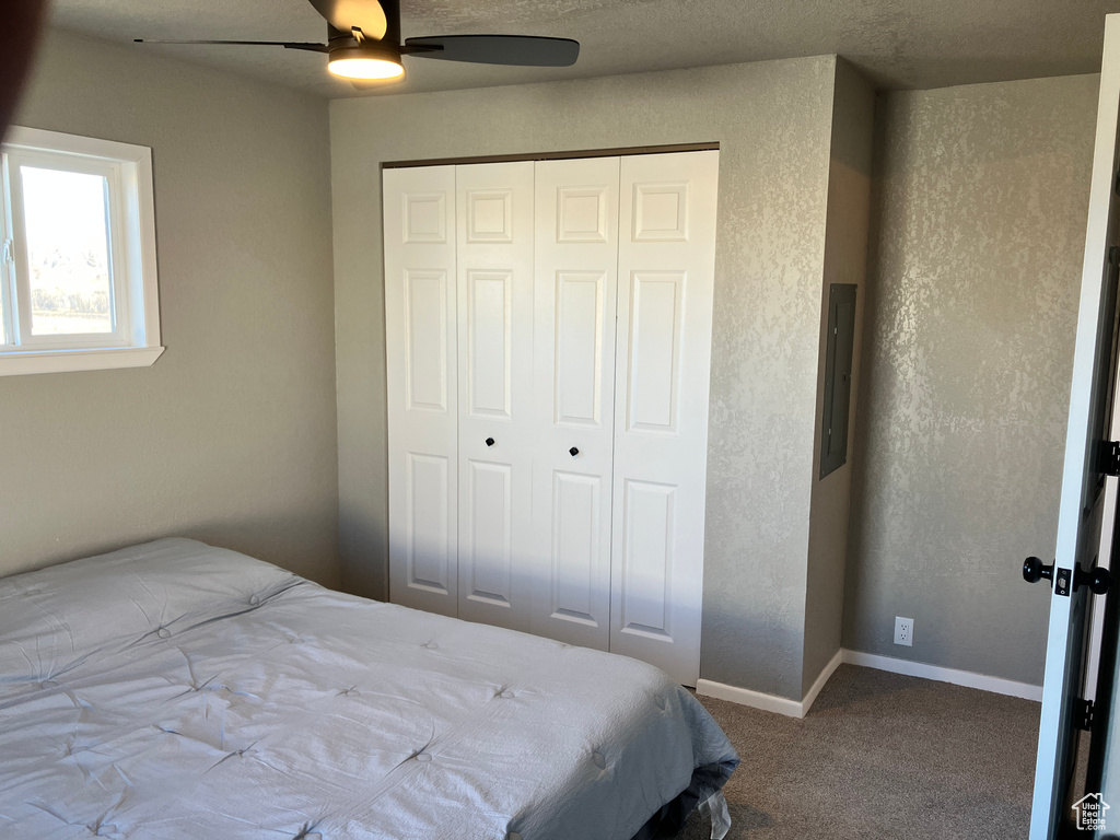 Carpeted bedroom featuring a textured wall, a closet, electric panel, and baseboards