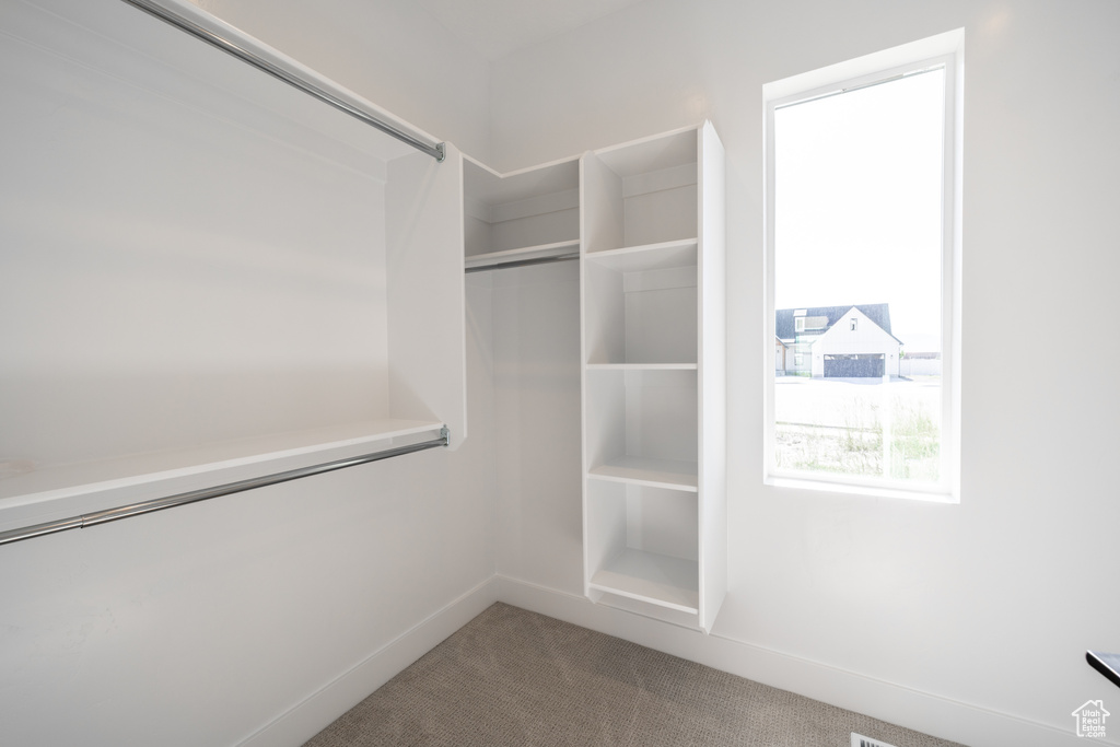 Walk in closet featuring carpet