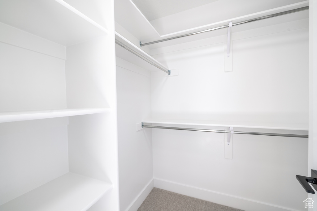 Walk in closet with carpet flooring