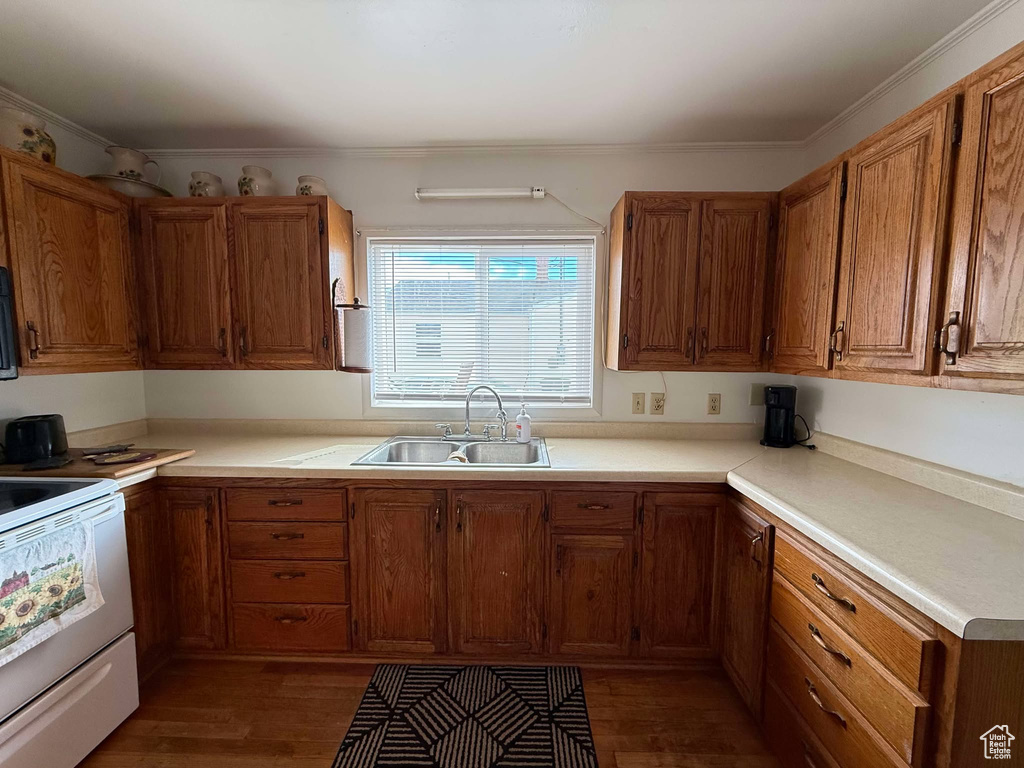 Kitchen with brown cabinetry, light countertops, and a sink