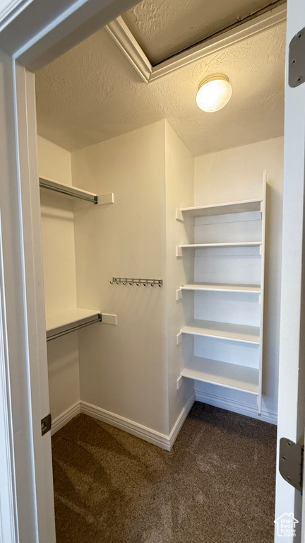 Spacious closet with carpet