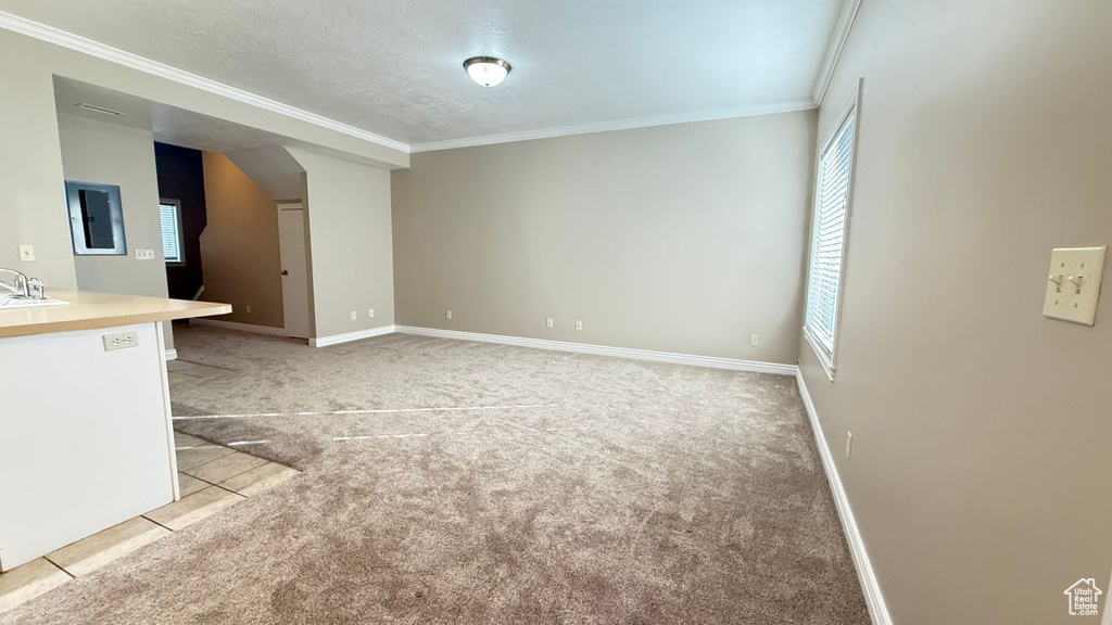 Unfurnished living room with crown molding, light colored carpet, a sink, and baseboards