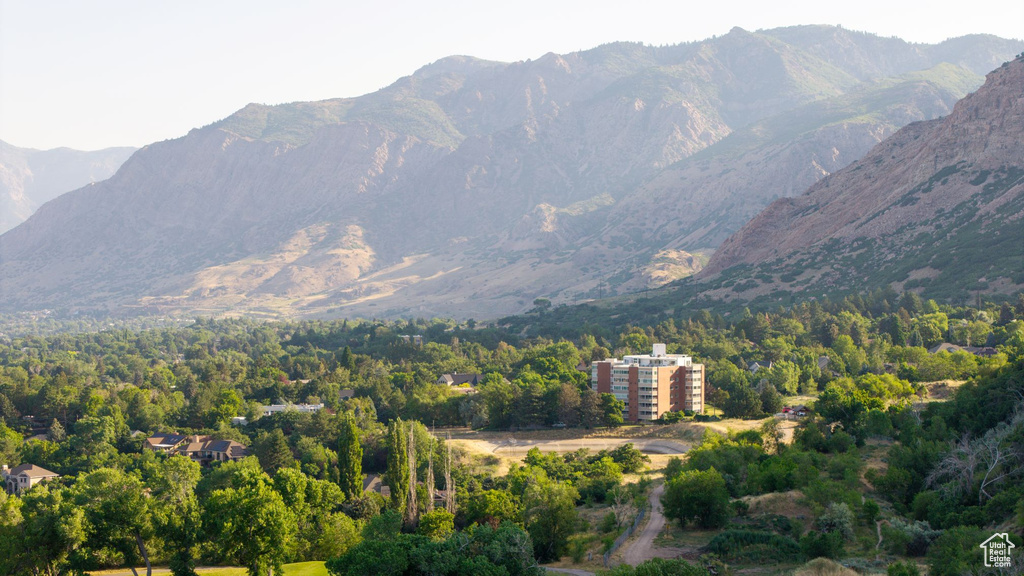 Mountain view