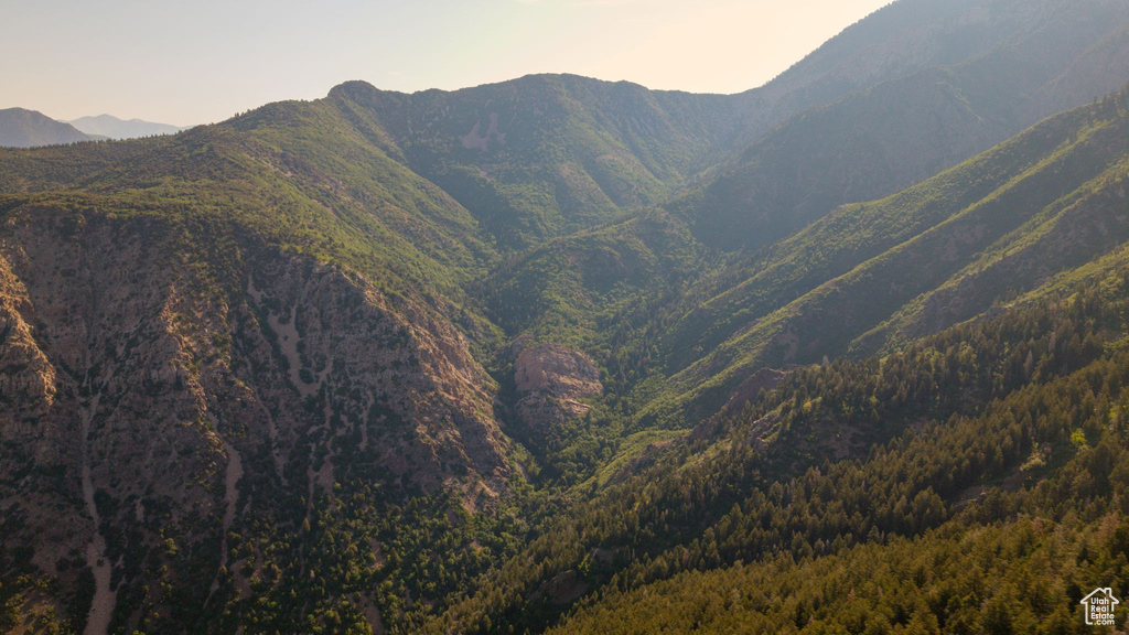 View of mountain background with a heavily wooded area