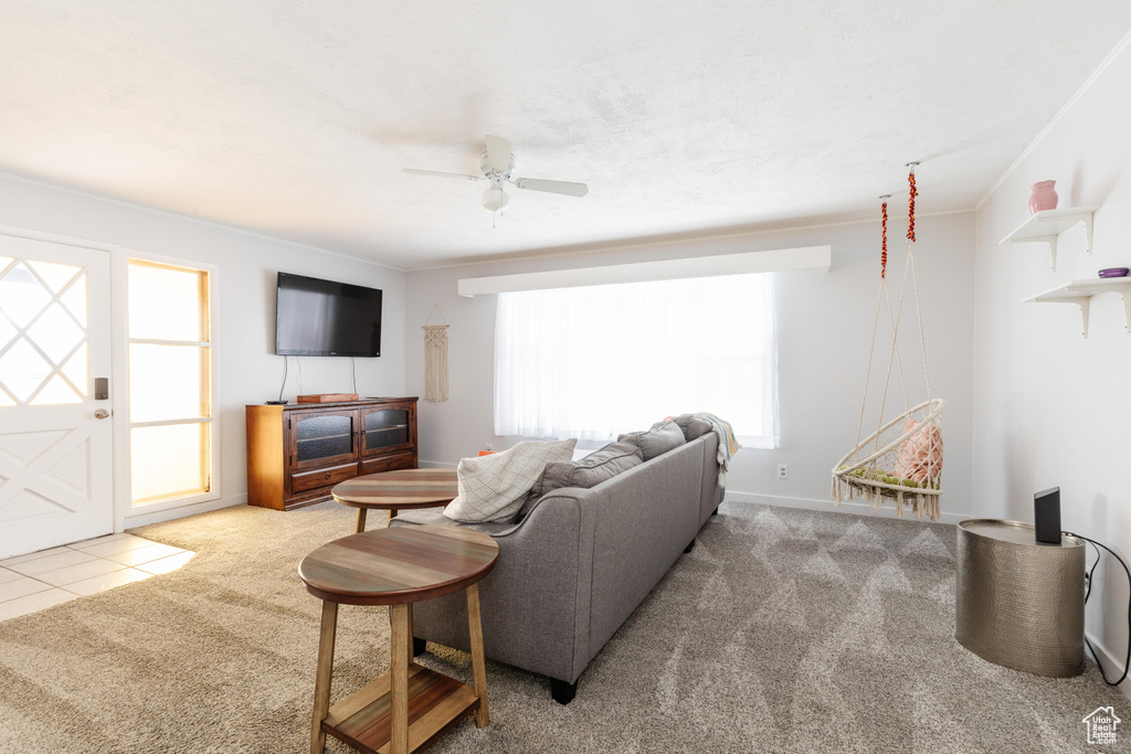 Living area with carpet floors, a ceiling fan, and crown molding