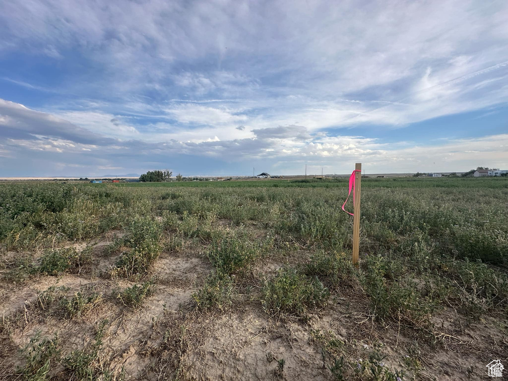 View of local wilderness featuring a rural view