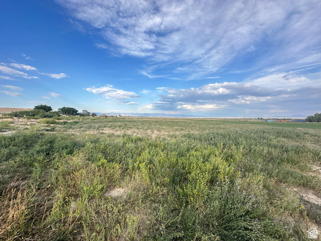 View of local wilderness featuring a rural view