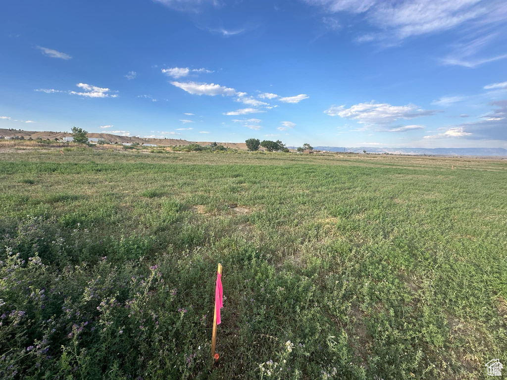 View of landscape featuring a rural view