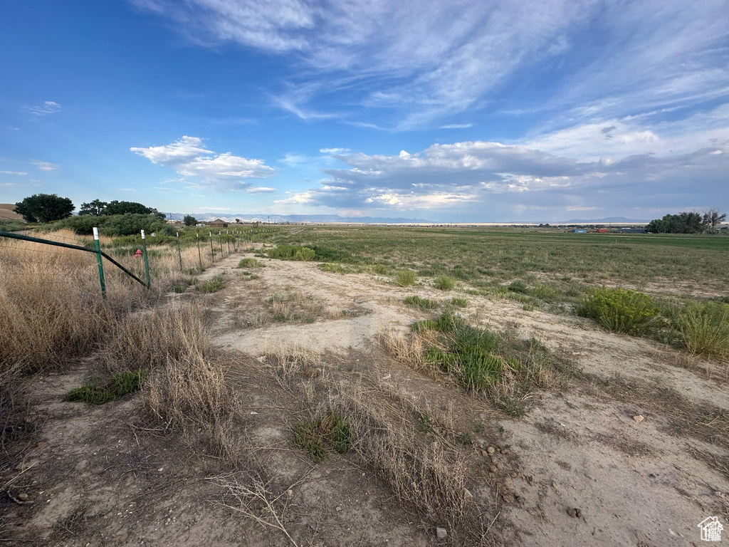 View of local wilderness with a rural view