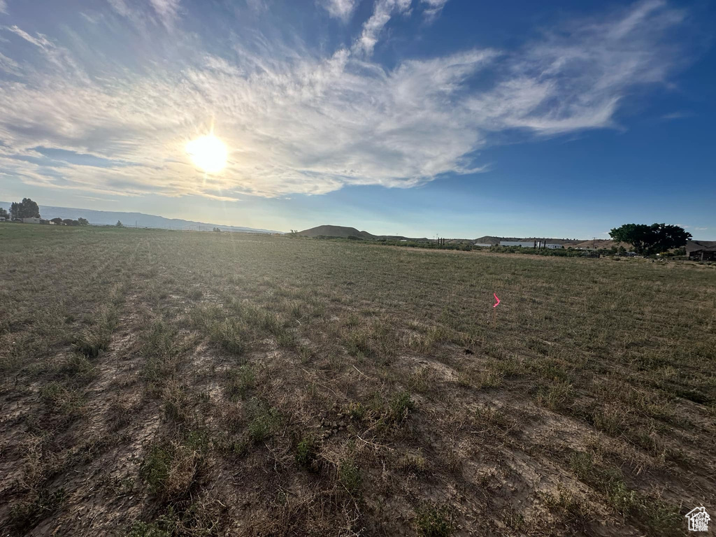 View of local wilderness with a rural view