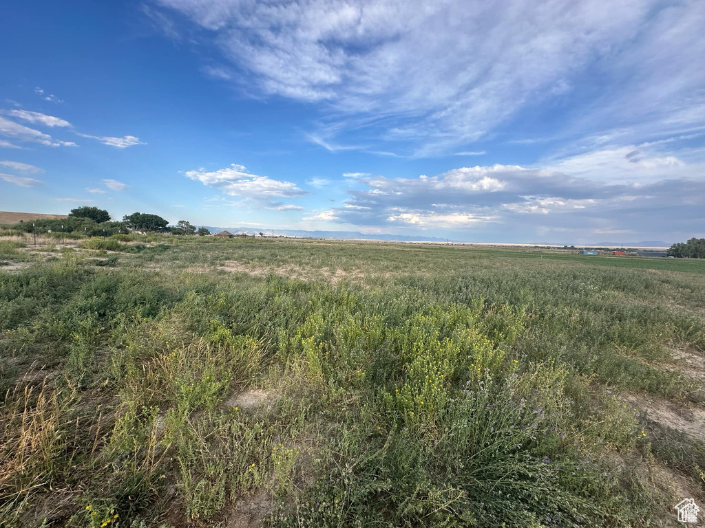 View of local wilderness featuring a rural view