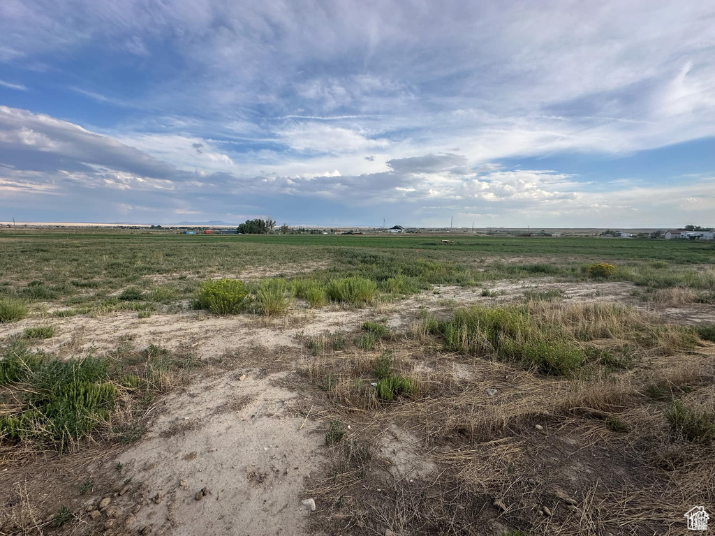 View of local wilderness featuring a rural view