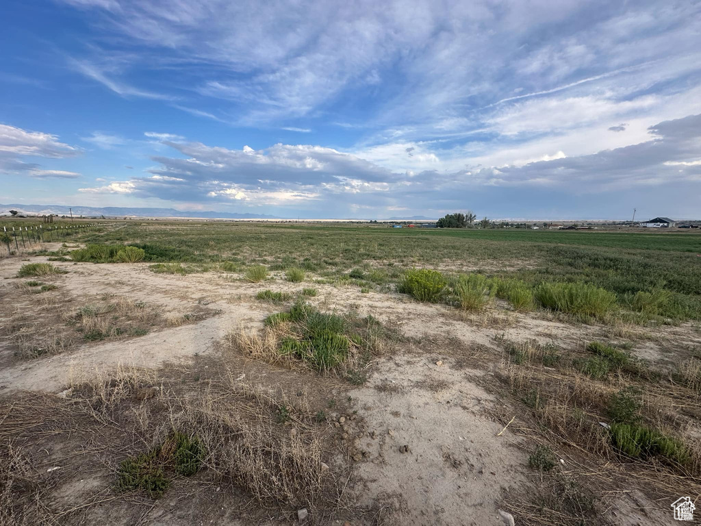 View of local wilderness featuring a rural view