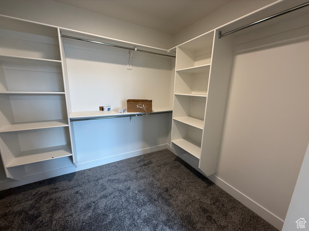 Walk in closet with dark colored carpet