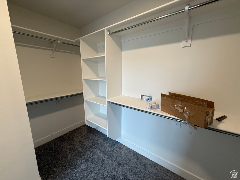 Spacious closet featuring dark colored carpet