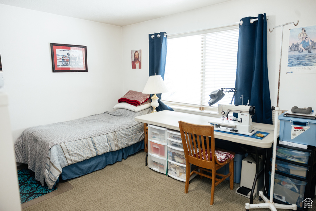 Bedroom with carpet floors