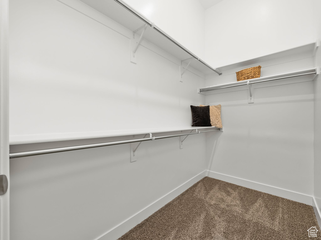 Walk in closet featuring dark carpet
