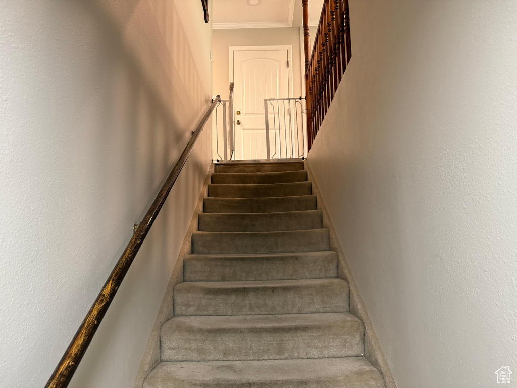Staircase featuring ornamental molding