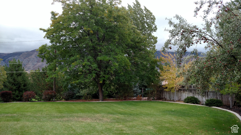 View of yard featuring a mountain view and fence