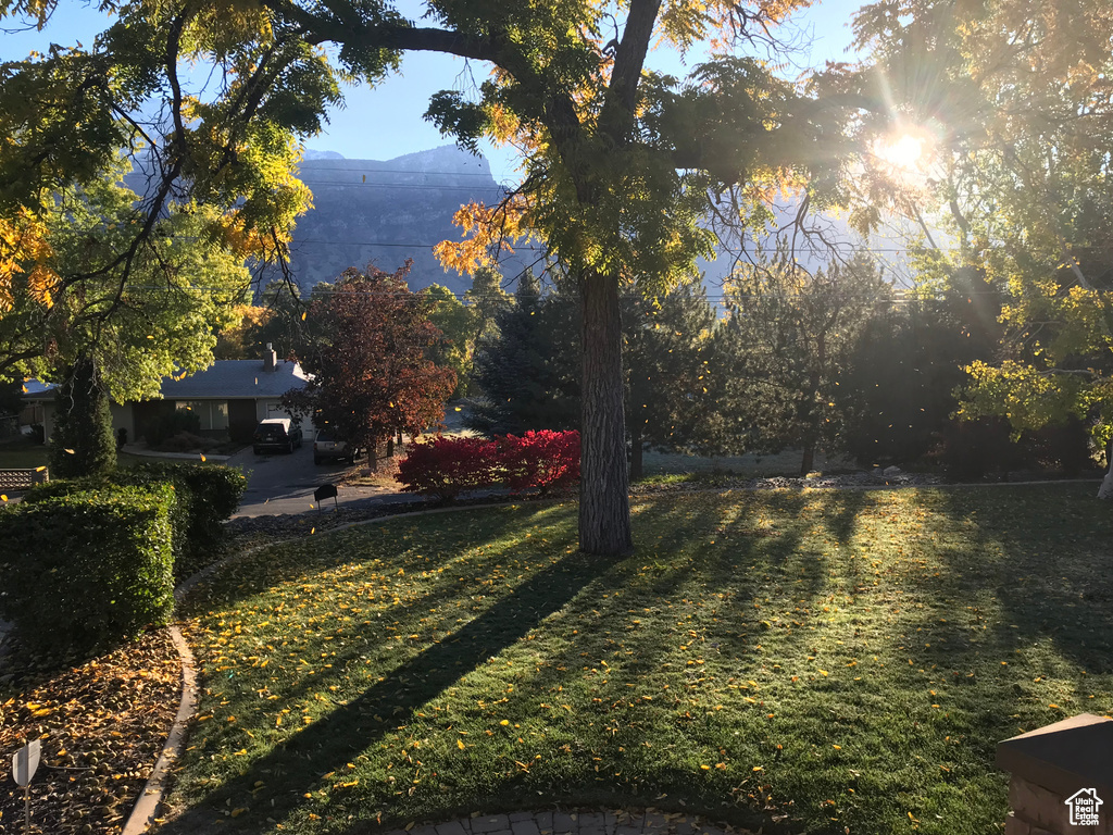 View of yard featuring a mountain view