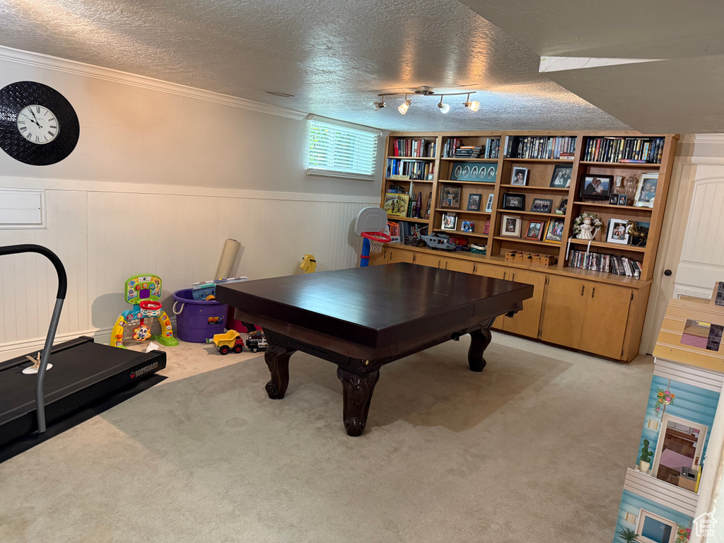Game room with a textured ceiling, a wainscoted wall, light carpet, and crown molding