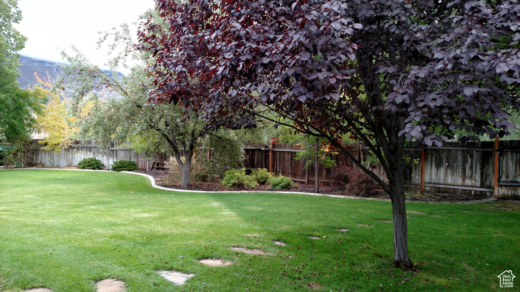 View of yard with a fenced backyard