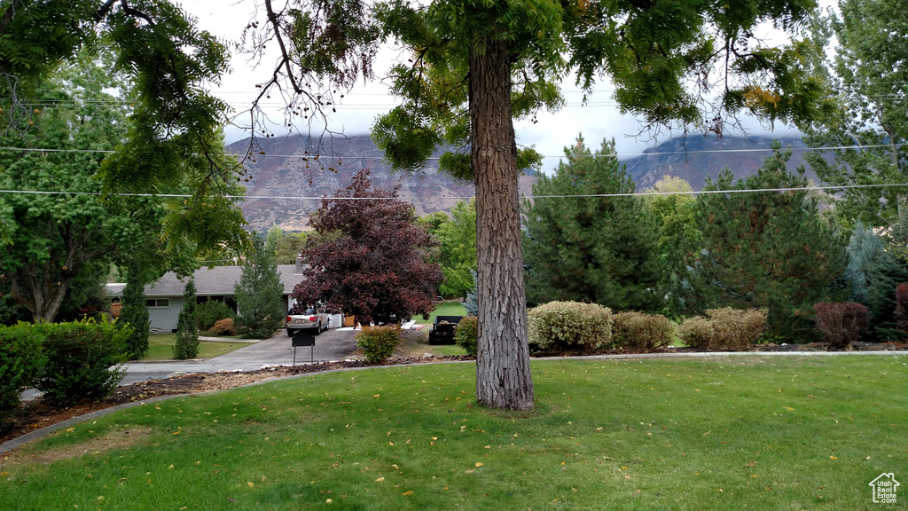 View of home\'s community with a lawn and a mountain view