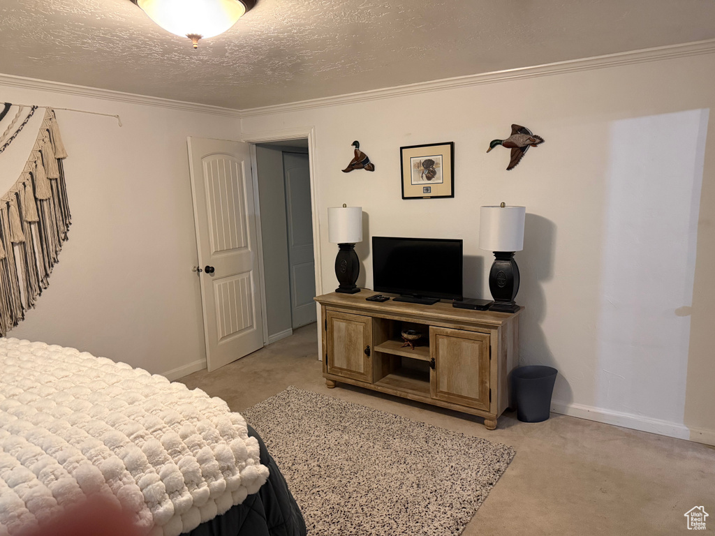 Bedroom with light carpet, baseboards, a textured ceiling, and ornamental molding