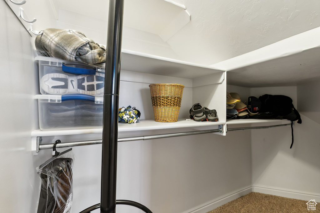 Spacious closet featuring carpet floors