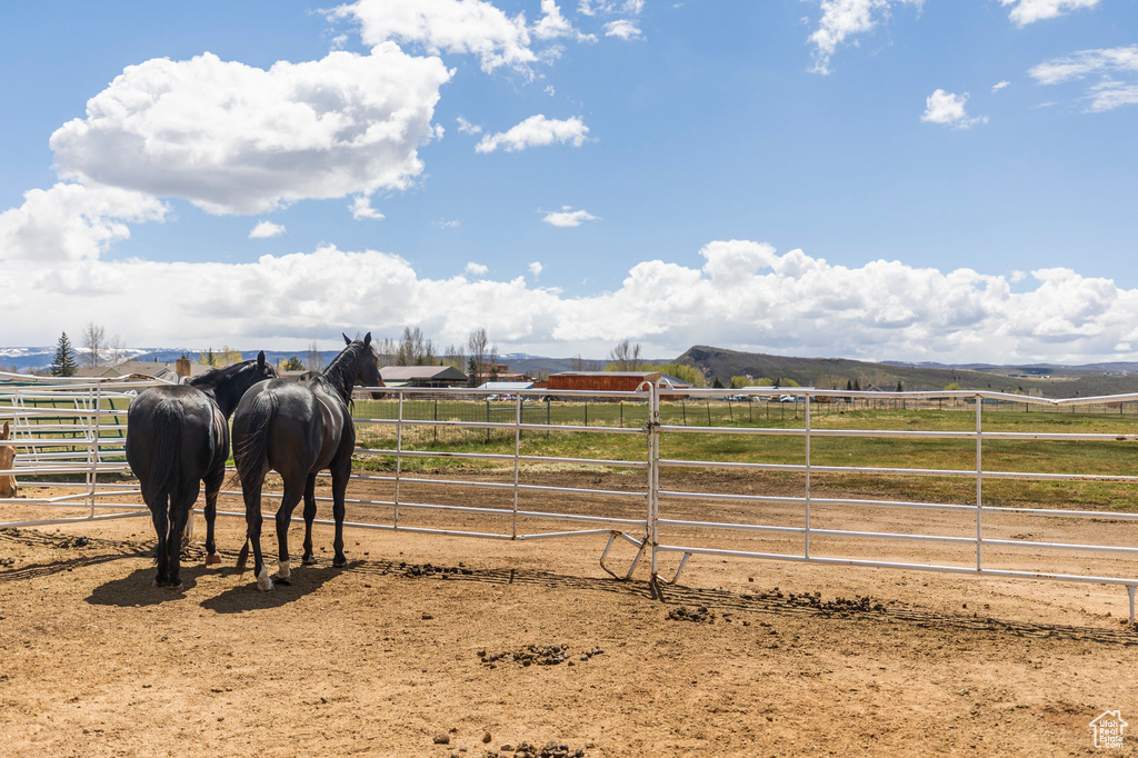 View of yard featuring a rural view