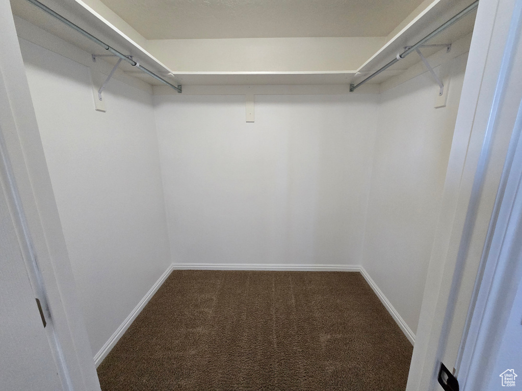 Spacious closet featuring carpet floors