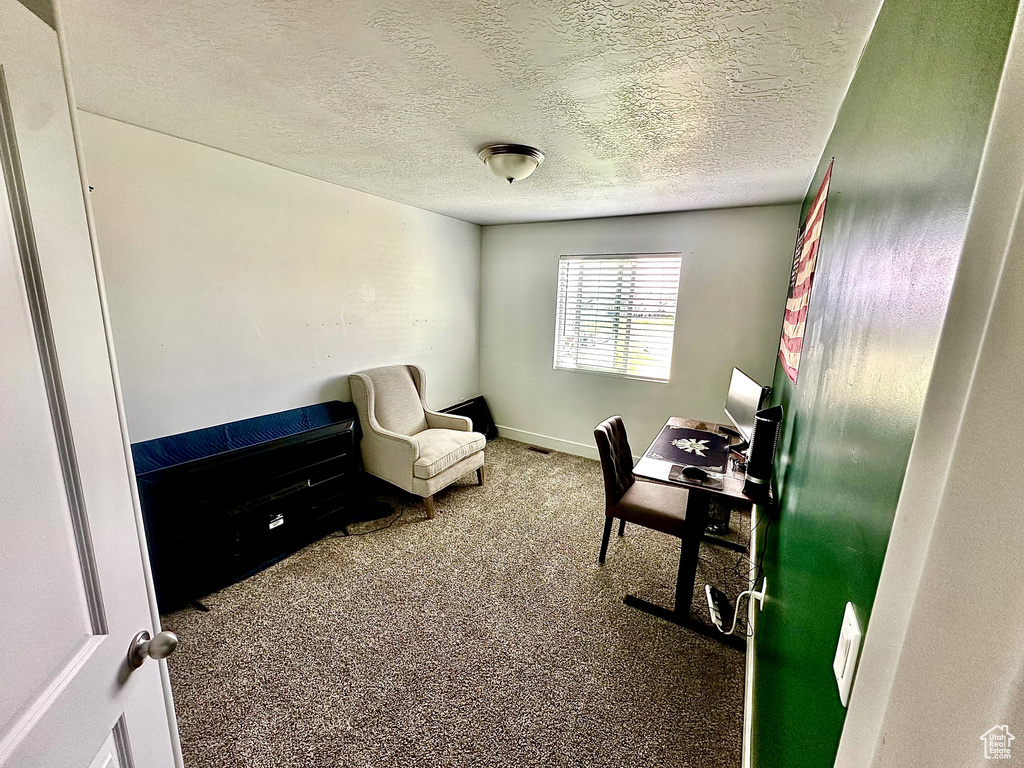 Home office with a textured ceiling, carpet flooring, and baseboards