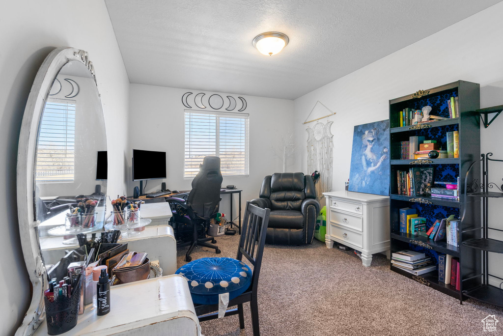 Home office with a textured ceiling and carpet