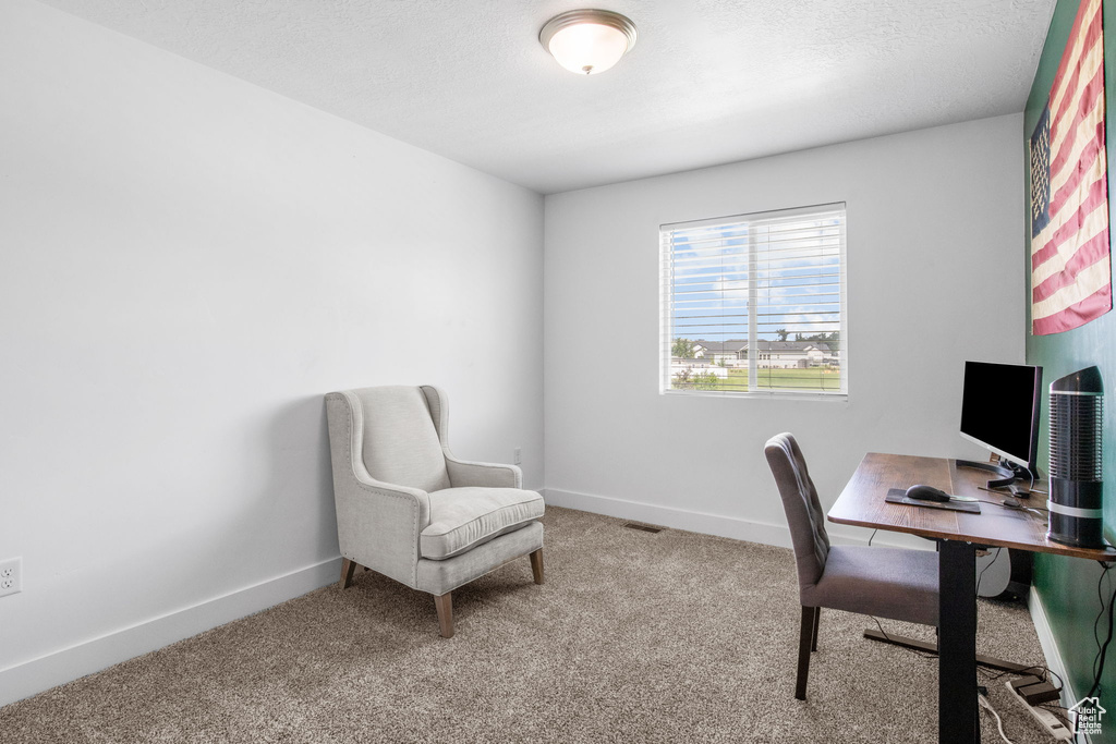 Home office with light carpet and baseboards
