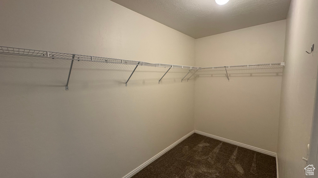 Walk in closet with dark colored carpet