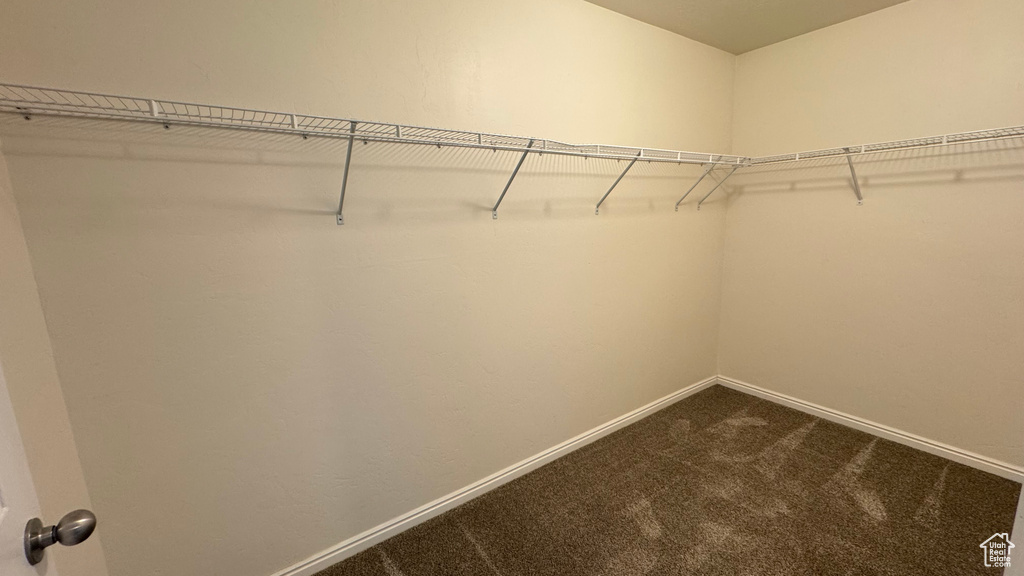 Spacious closet with dark carpet