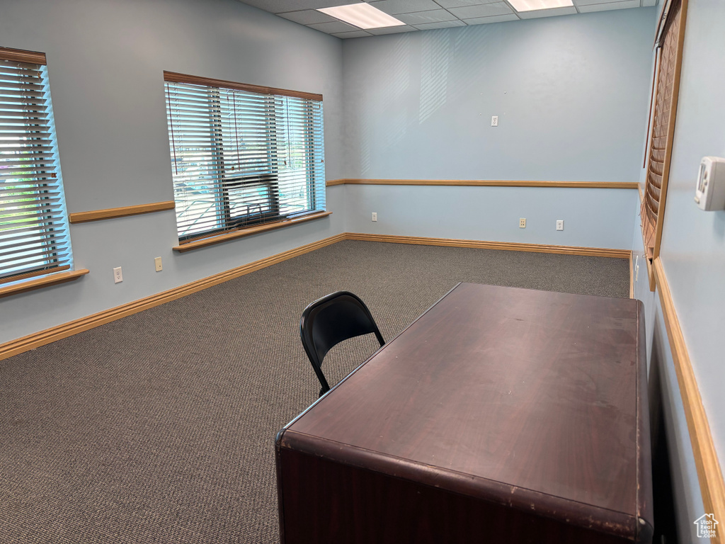 Office space featuring carpet and a paneled ceiling